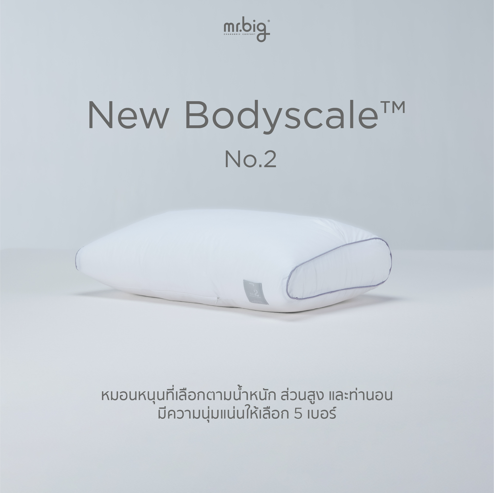 หมอนหนุน ERGONOMIC MR.BIG รุ่น NEW BODYSCALE PILLOW NO.3 สีขาว_5