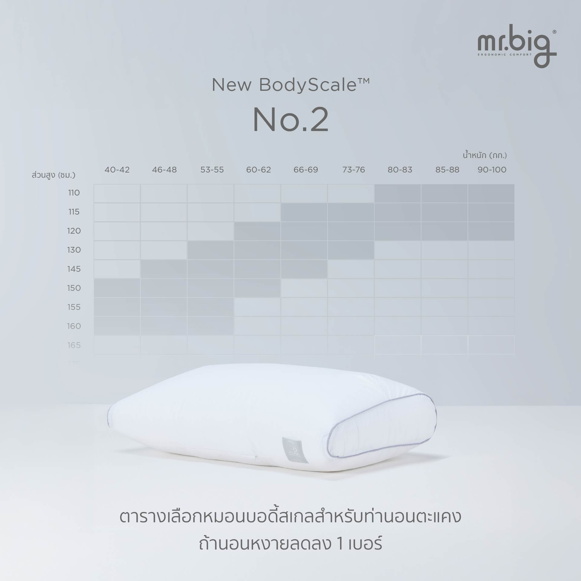 หมอนหนุน ERGONOMIC MR.BIG รุ่น NEW BODYSCALE PILLOW NO.2 สีขาว_5