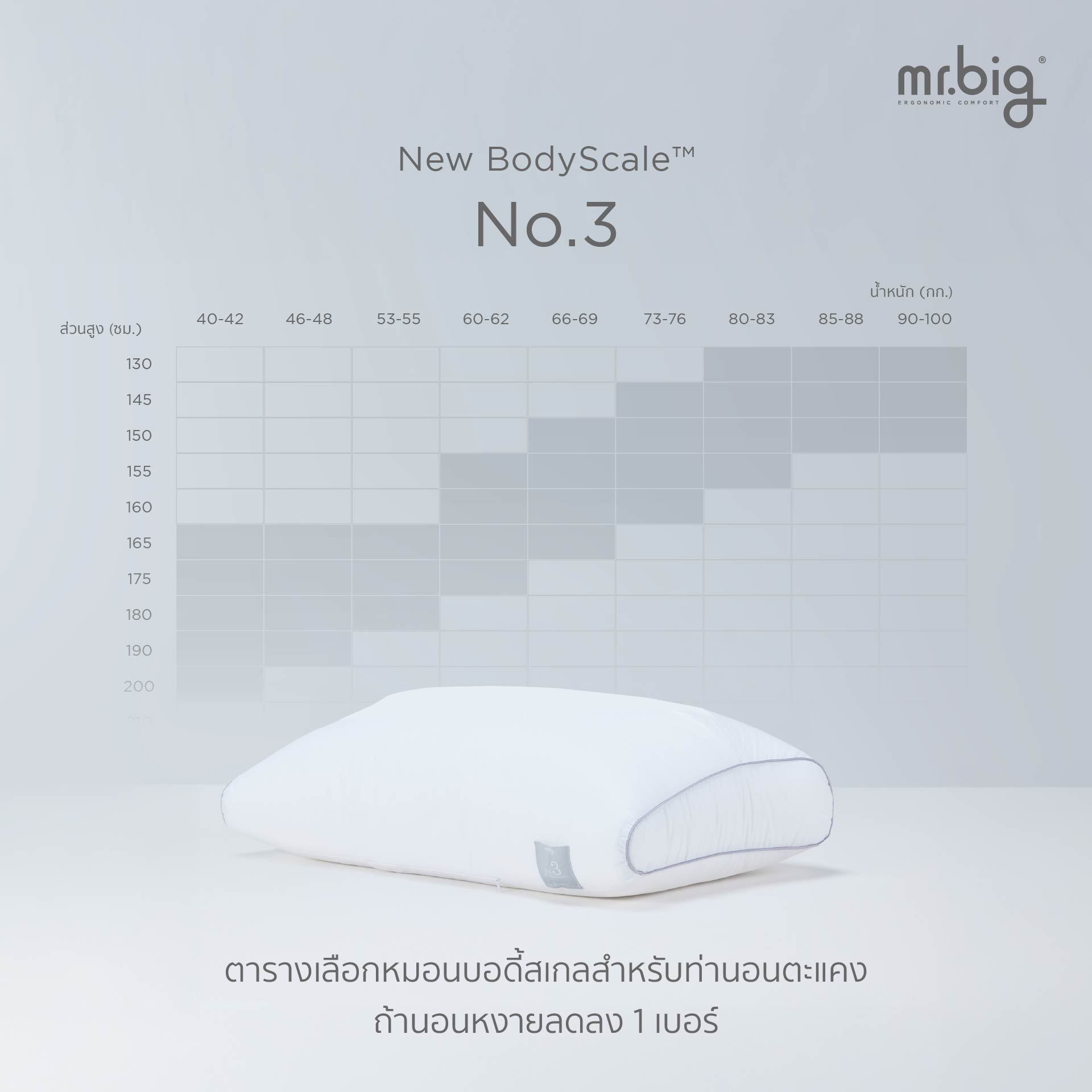 หมอนหนุน ERGONOMIC MR.BIG รุ่น NEW BODYSCALE PILLOW NO.4 สีขาว_6