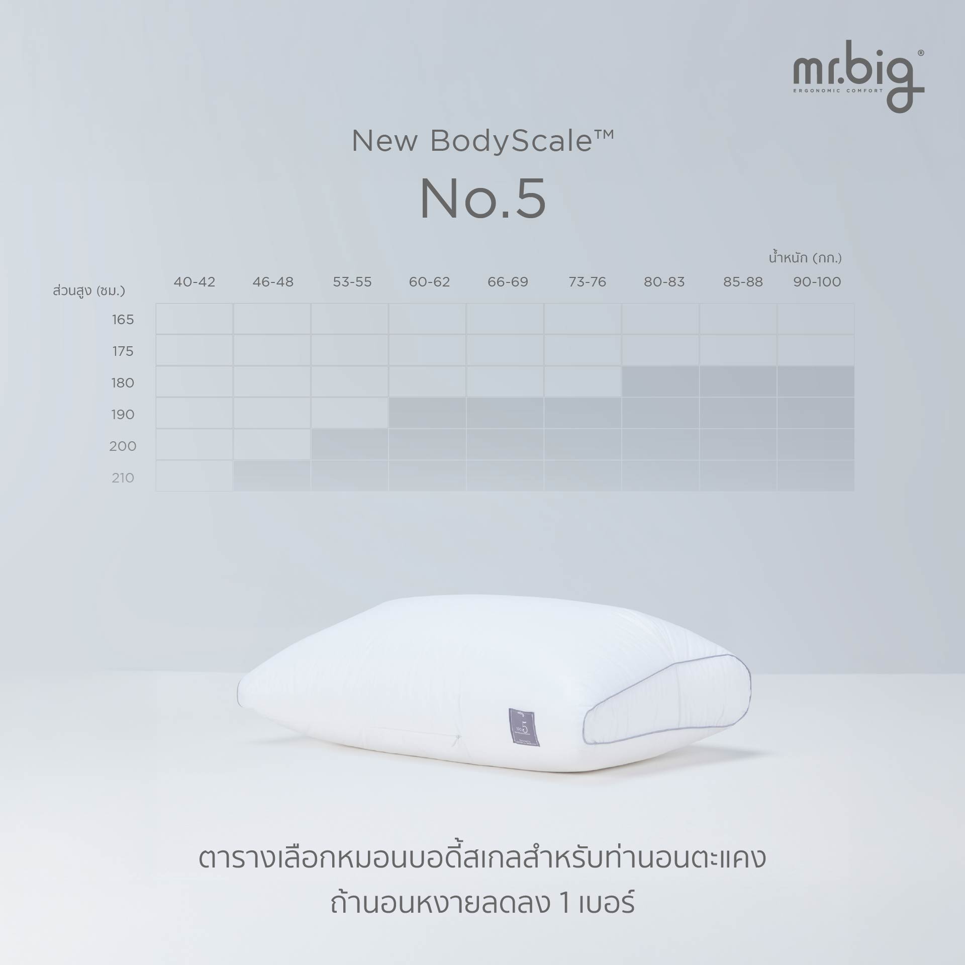 หมอนหนุน ERGONOMIC MR.BIG รุ่น NEW BODYSCALE PILLOW NO.2 สีขาว_8