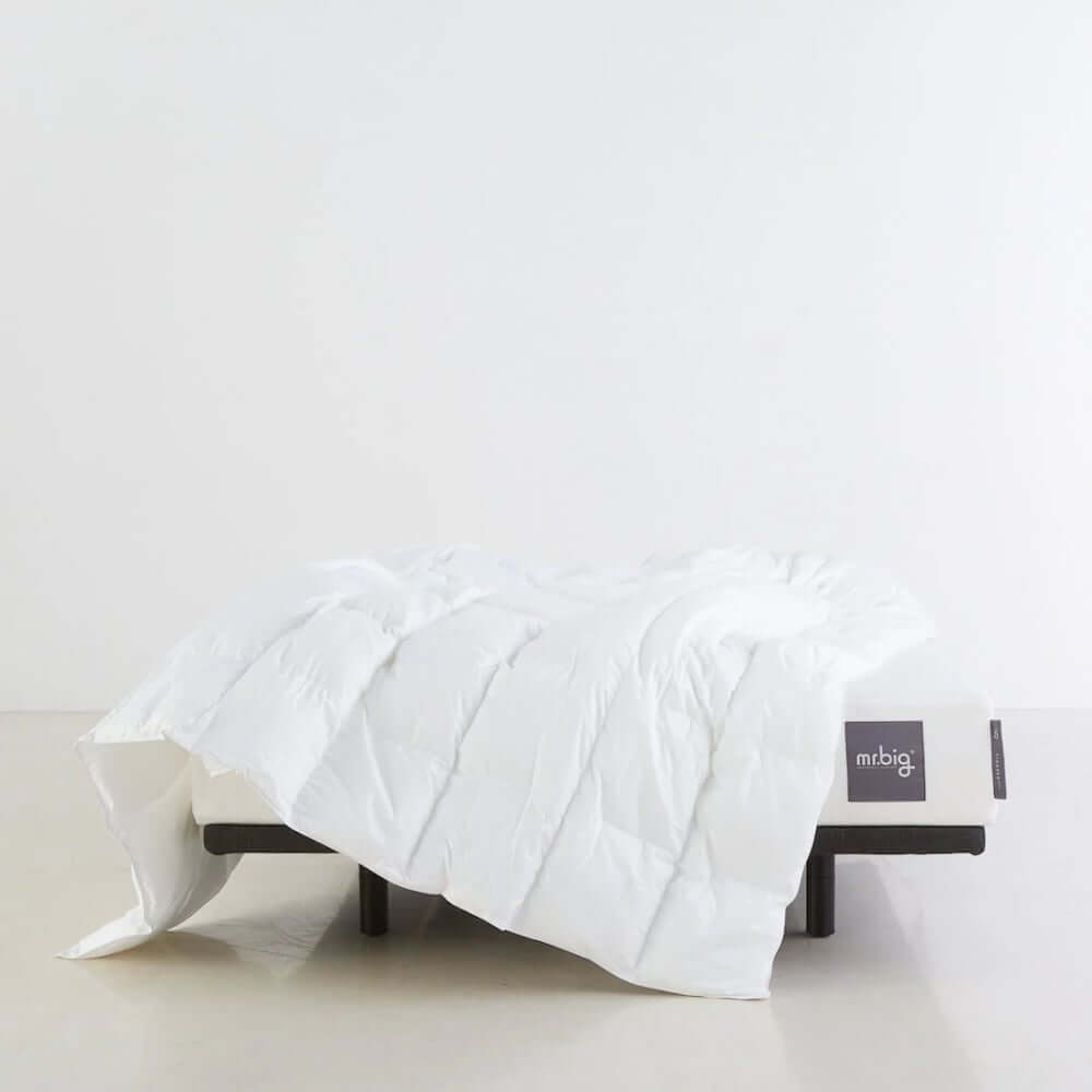 ผ้านวม mr.big All Season Elasta ผ้านวมทุกฤดู 70x90 นิ้ว สีขาว