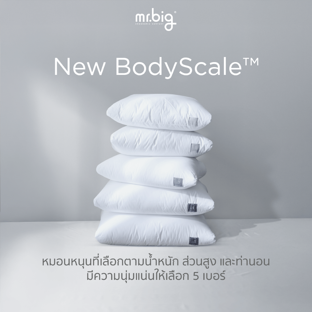 หมอนหนุน mr.big รุ่น New BodyScale Pillow No.5 สีขาว