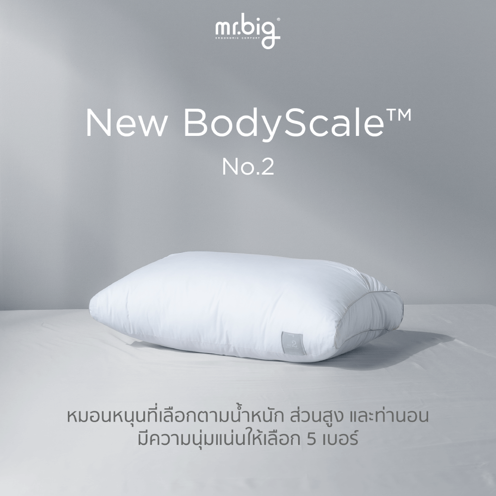 หมอนหนุน mr.big รุ่น New BodyScale Pillow No.2 สีขาว