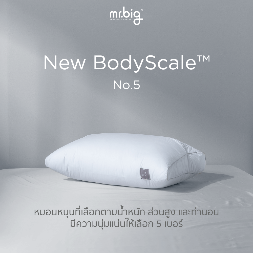 หมอนหนุน mr.big รุ่น New BodyScale Pillow No.5 สีขาว