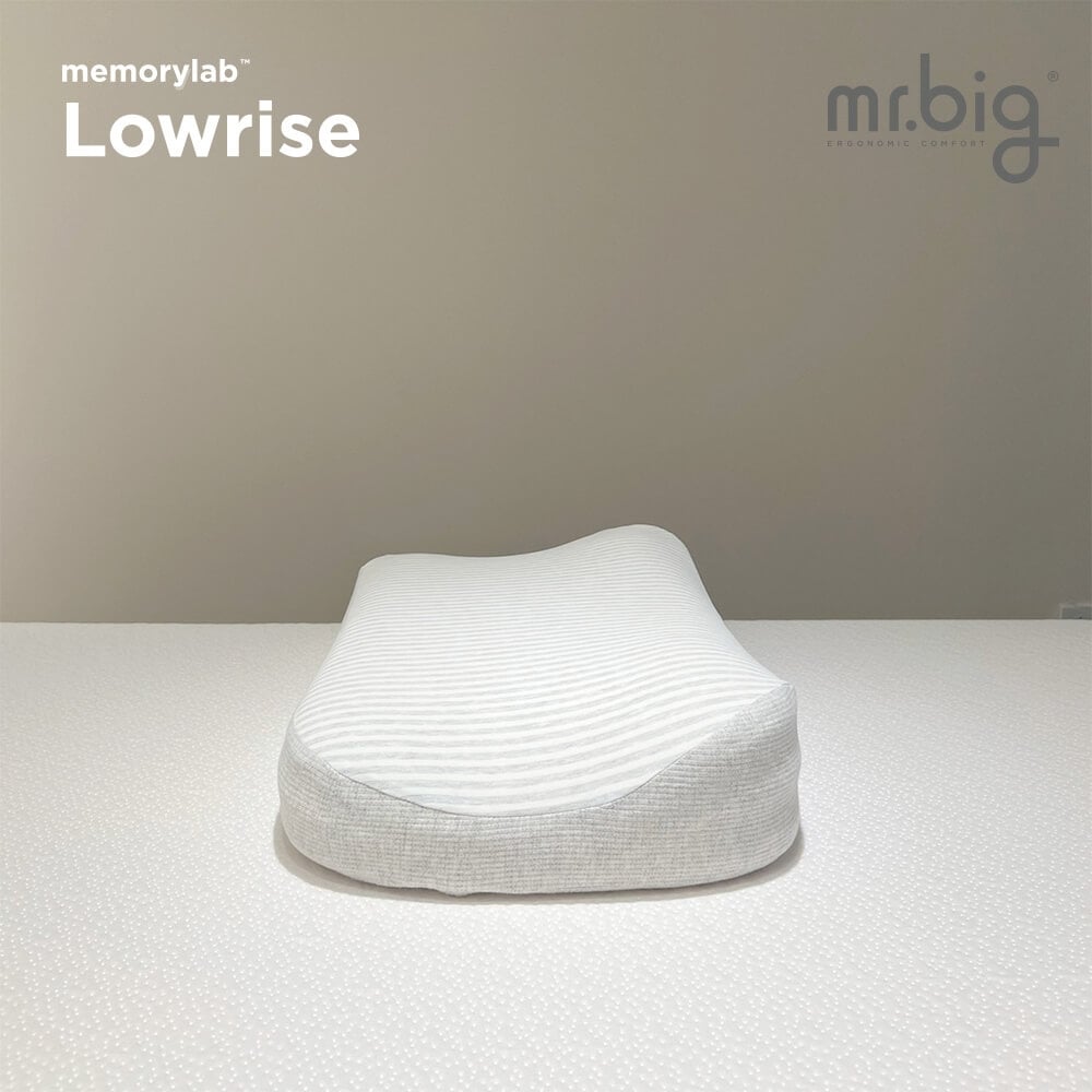 หมอนเมมโมรี่โฟม mr.big รุ่น Memorylab Lowrise