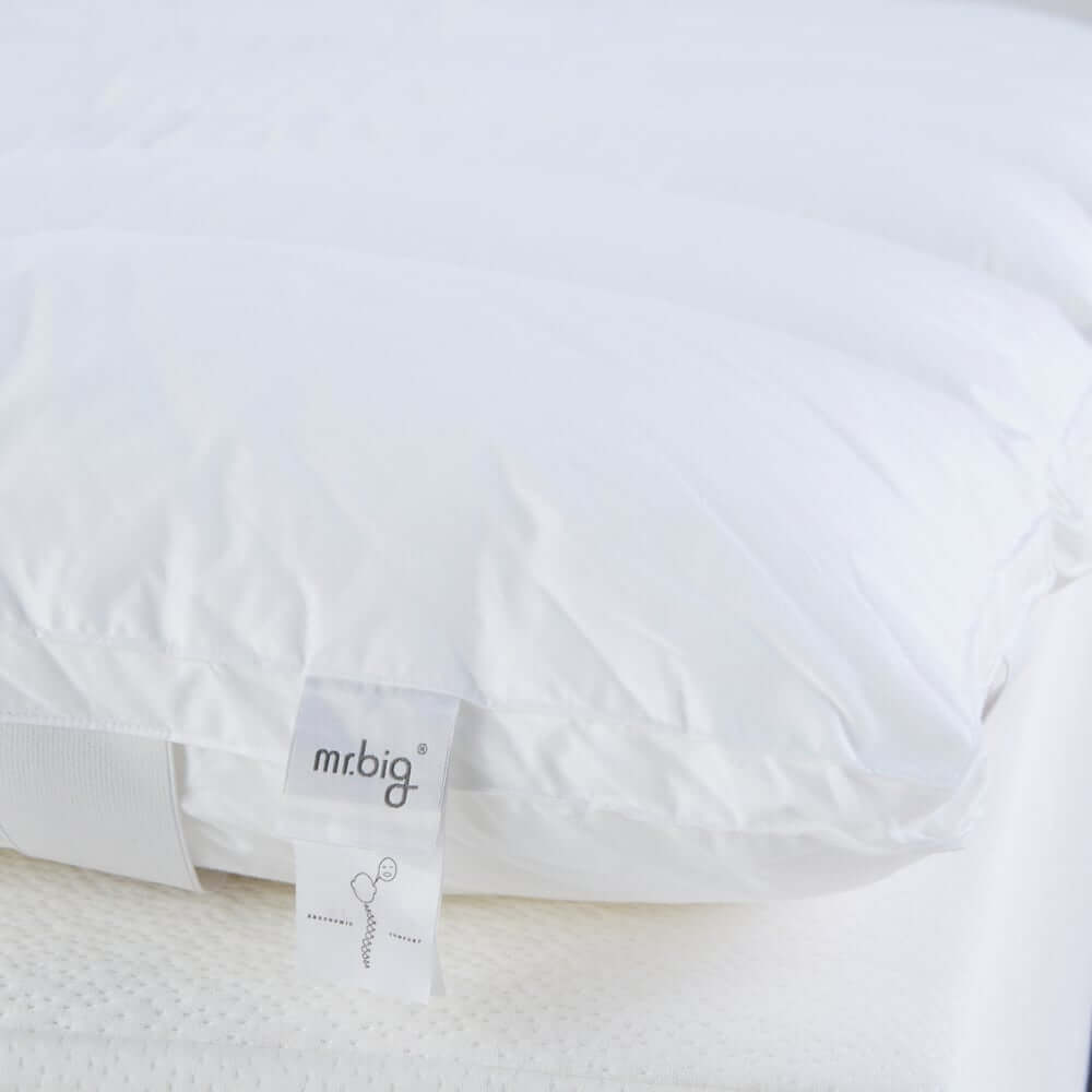 แผ่นรองนอน 5 ฟุต mr.big CloudComforter Topper ท็อปเปอร์เส้นใยนอนสบายแบบไร้จุดกดทับ สีขาว