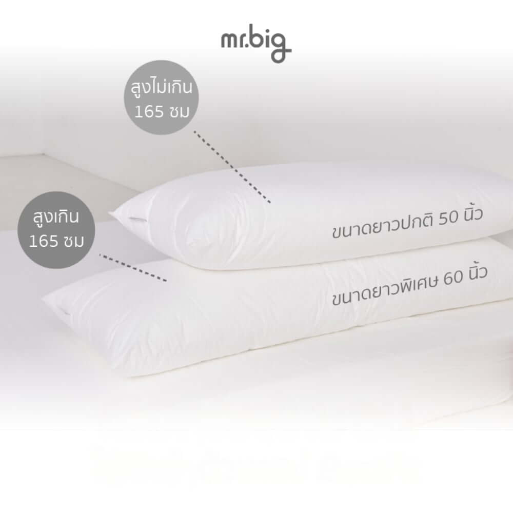 หมอนบอดี้ mr.big หมอนกอด Ergonomic 20x60 นิ้ว สีขาว