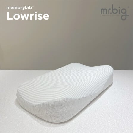 หมอนเมมโมรี่โฟม mr.big รุ่น Memorylab Lowrise_1