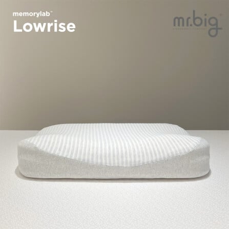 หมอนเมมโมรี่โฟม mr.big รุ่น Memorylab Lowrise_2