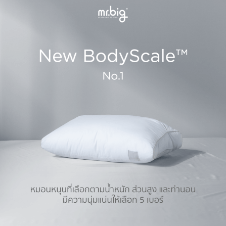 หมอนหนุน mr.big รุ่น New BodyScale Pillow No.1 สีขาว_3