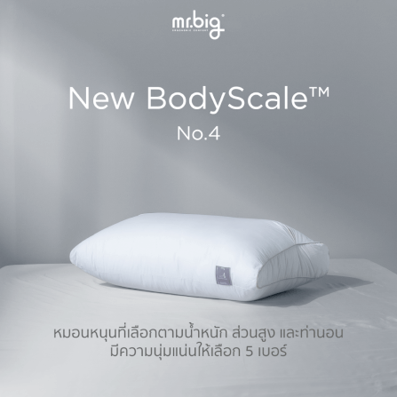 หมอนหนุน mr.big รุ่น New BodyScale Pillow No.4 สีขาว_3