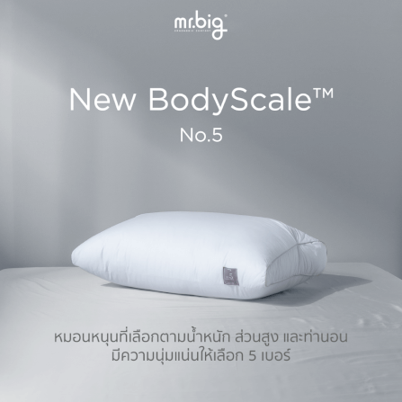 หมอนหนุน mr.big รุ่น New BodyScale Pillow No.5 สีขาว_3