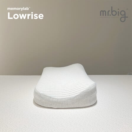 หมอนเมมโมรี่โฟม mr.big รุ่น Memorylab Lowrise_3