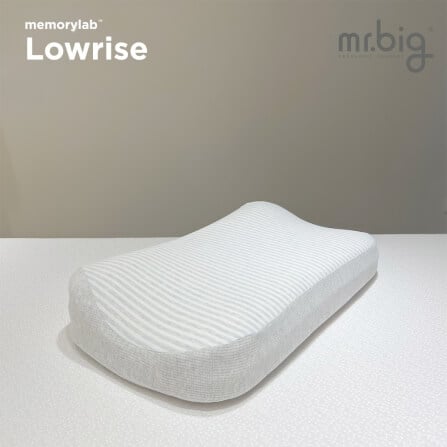 หมอนเมมโมรี่โฟม mr.big รุ่น Memorylab Lowrise_4