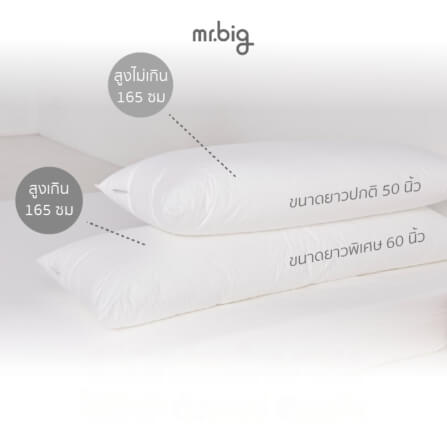 หมอนบอดี้ mr.big หมอนกอด Ergonomic 20x60 นิ้ว สีขาว_6