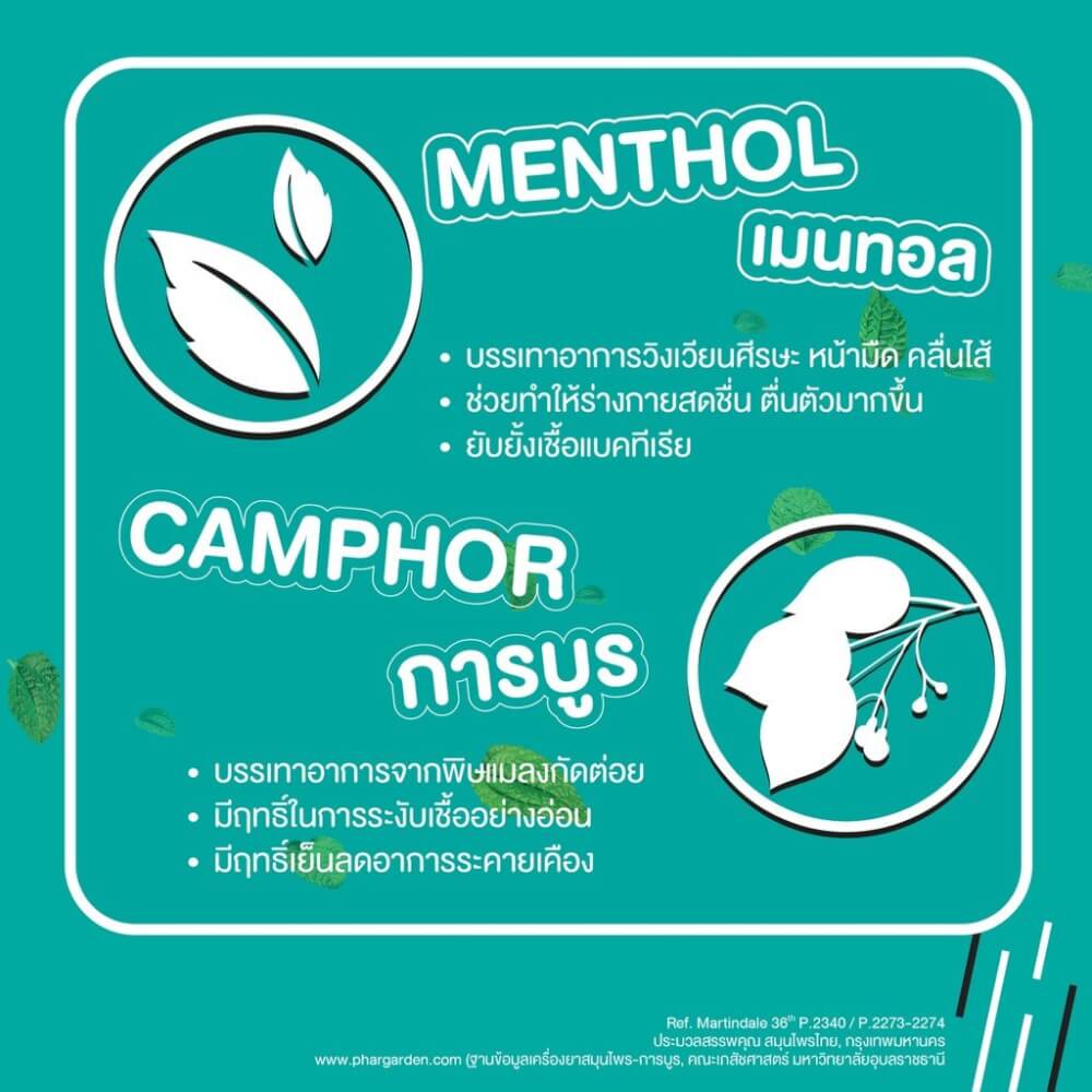 ยาหม่องแท่ง เป๊บเปอร์มิ้นท์ ฟิลด์ กลิ่นชาเขียว ขนาด 6 กรัม จำนวน 12 ชิ้น