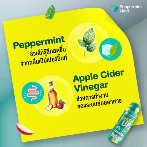 เครื่องดื่ม PEPPERMINT FIELD FRESH UP ขนาด 50 มล. แพค 12 ขวด