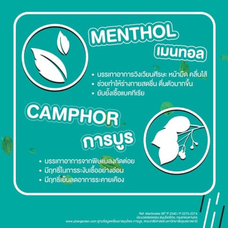 ยาหม่องแท่ง เป๊บเปอร์มิ้นท์ ฟิลด์ กลิ่นชาเขียว ขนาด 6 กรัม จำนวน 12 ชิ้น_2