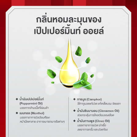 เซตสบายกาย คลายปวดเมื่อย เซียงเพียว ของขวัญให้ผู้ใหญ่ จำนวน 1 เซต_7