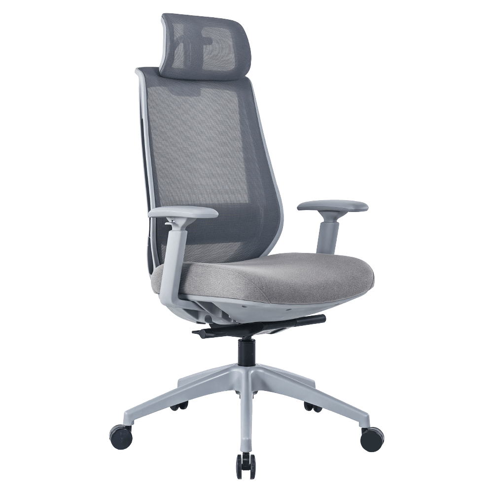 เก้าอี้ทำงาน เพื่อสุขภาพ LUNIO ERGO APOLLO SMART X2 CHAIR GRAY ASTRON สีเทา_0
