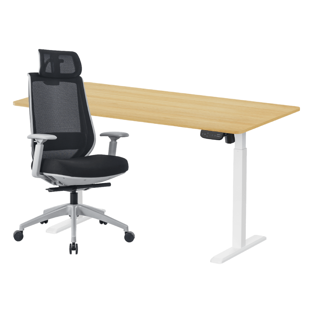 เซ็ตโต๊ะปรับระดับไฟฟ้า+เก้าอี้ทำงานเพื่อสุขภาพ LUNIO ERGO SPACE II (SIZE 160 X 80 CM) + LUNIO ERGO APOLLO SMART X2 (สีดำ/เทา)
