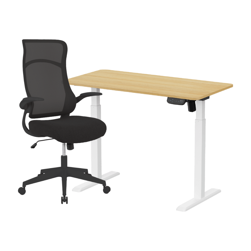 เซ็ตโต๊ะปรับระดับไฟฟ้า+เก้าอี้ทำงานเพื่อสุขภาพ LUNIO ERGO SPACE II (SIZE 120 X 60 CM) + ADAM DOT.2 ERGO CHAIR GRAVITY (สีดำ)