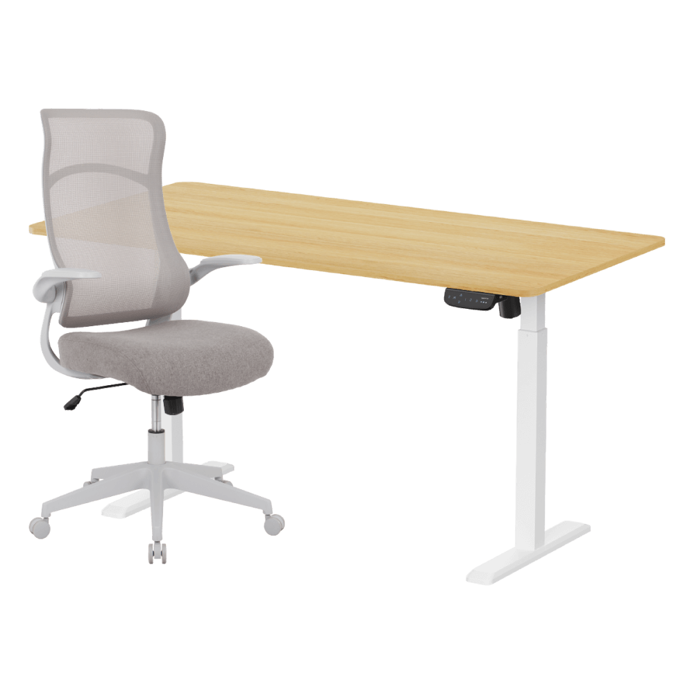เซ็ตโต๊ะปรับระดับไฟฟ้า+เก้าอี้ทำงานเพื่อสุขภาพ LUNIO ERGO SPACE II (SIZE 160 X 80 CM) + ADAM DOT.2 ERGO CHAIR GRAVITY (สีเทา)