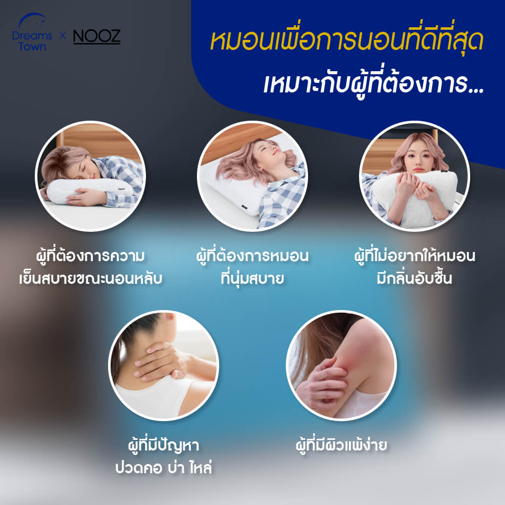 หมอนเมมโมรี่โฟม หมอนคูลเจล NOOZ COMFORT THE COOLING GRAPHITE