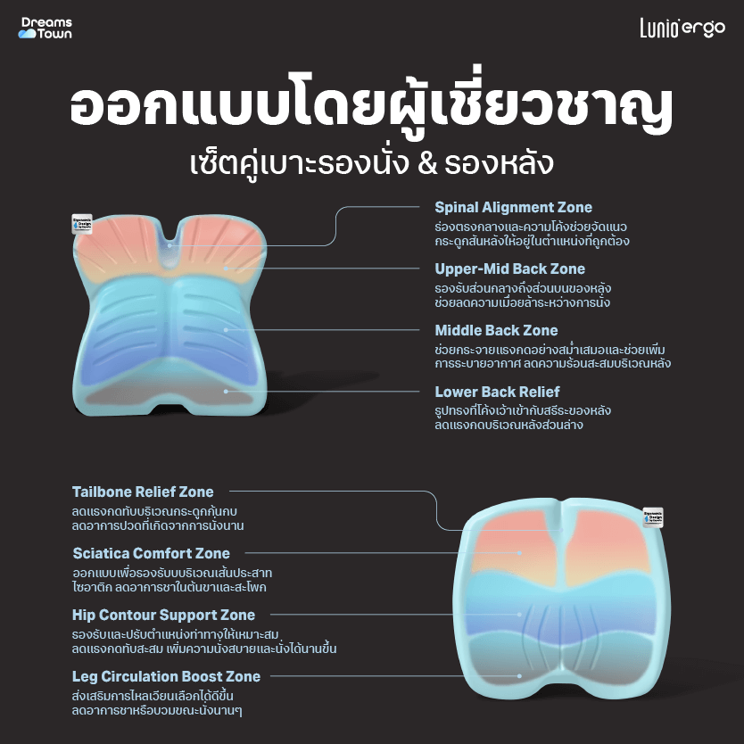 เซ็ตเบาะรองนั่ง+เบาะรองหลัง LUNIO ERGO PRO BACK CUSHION + LUNIO ERGO PRO SEAT CUSHION_2