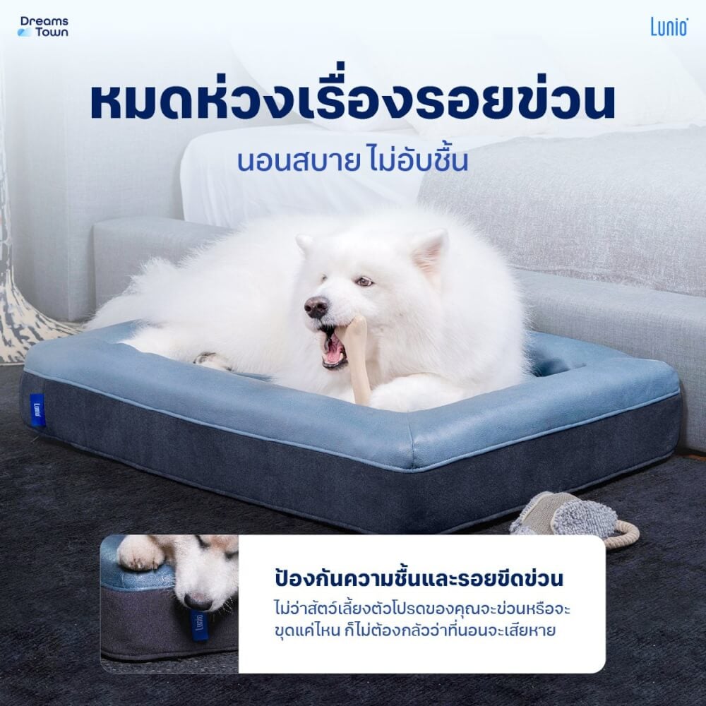 ที่นอนสัตว์เลี้ยง LUNIO L : 90X70X18 CM_3
