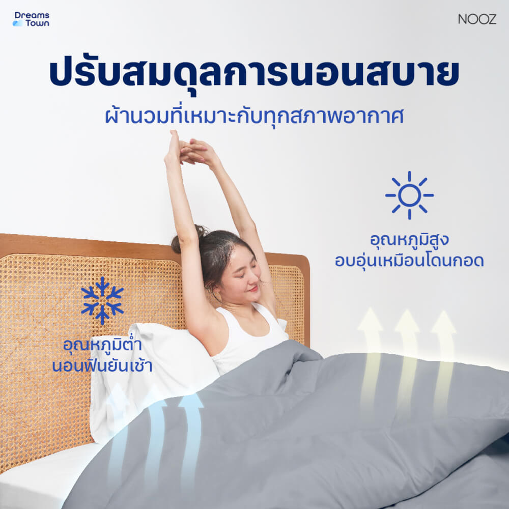 ผ้านวม 3.5 ฟุต Nooz Play รุ่น Comforter สีเทา Cloudy Gray