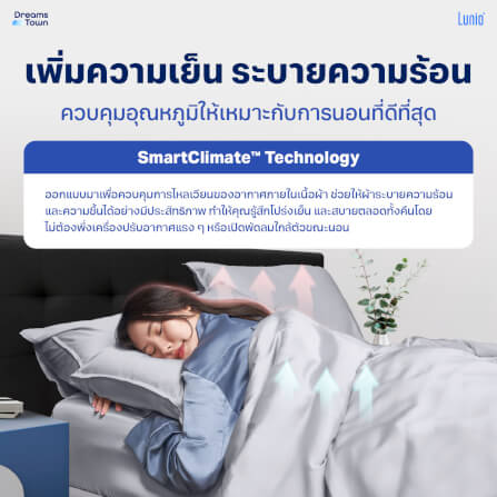 เซ็ตผ้าปูที่นอน เกรดพรีเมียม 6ฟุต LUNIO SMART SNOWWEAVE BEDDING SET PLATINUM GRAY สีเทา 3ชิ้น (สำหรับที่นอนหนา 13นิ้ว)_2