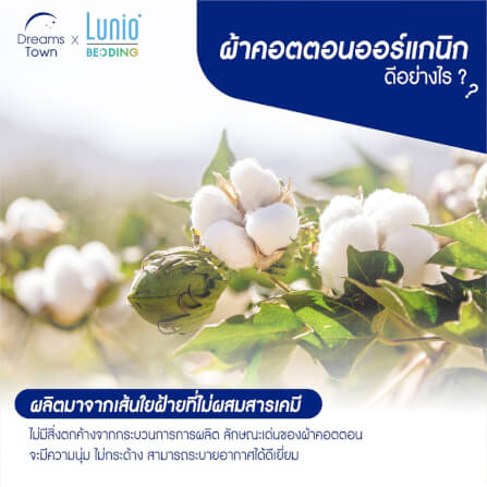 ผ้าห่ม ผ้านวม LUNIO CLOUD DUVET CLASSIC SERIES TWIN SIZE_6