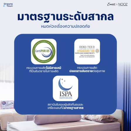 ที่นอนยางพารา 3.5 ฟุต EMMAS BLACK SWAN PARADISE มาพร้อมกับฐานเตียง 3.5 ฟุต NOOZ PIXEL BED FRAME (ไม่มีหัวเตียง)_6