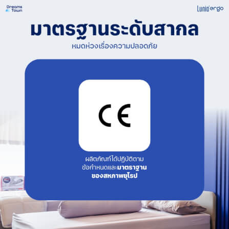 ล้อสำหรับโต๊ะปรับระดับ LUNIO ERGO SPACE II CASTER_7