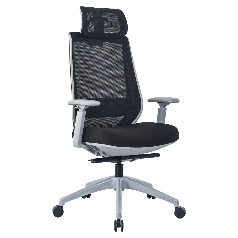 เก้าอี้ทำงาน เพื่อสุขภาพ LUNIO ERGO APOLLO CHAIR BLACK JET สีดำ