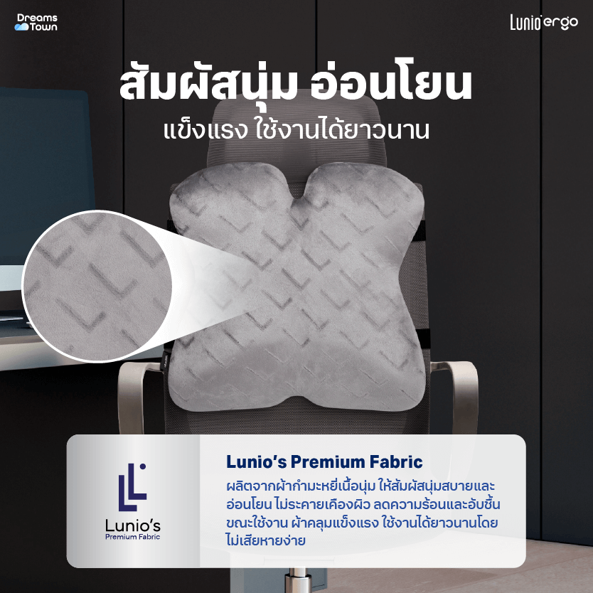 เบาะรองหลัง LUNIO ERGO PRO BACK CUSHION