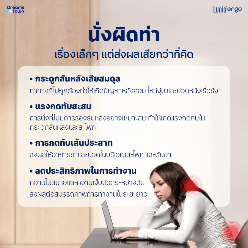 เบาะรองหลัง LUNIO ERGO LITE BACK CUSHION