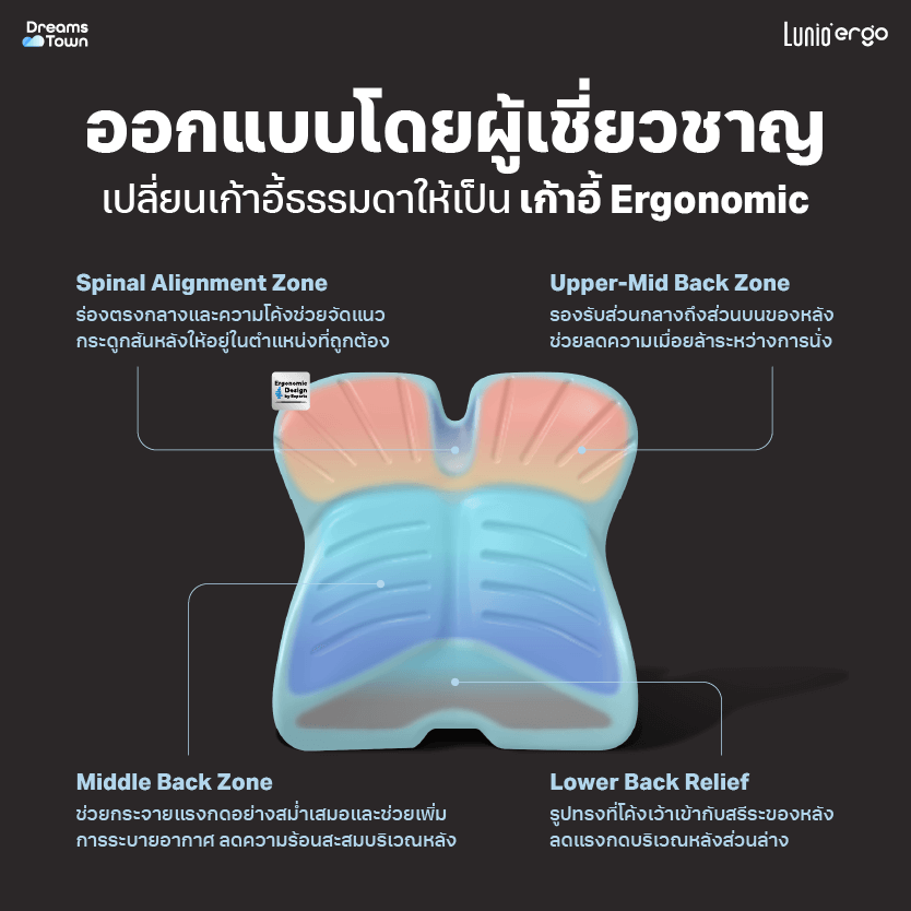 เบาะรองหลัง LUNIO ERGO PRO BACK CUSHION