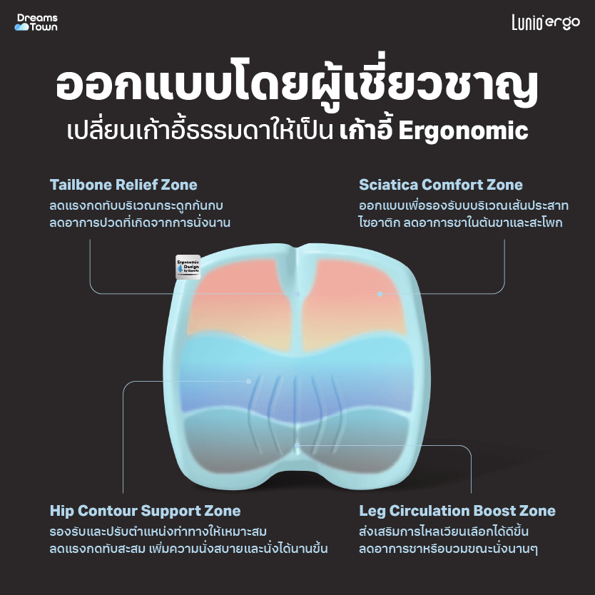เบาะรองนั่ง LUNIO ERGO PRO SEAT CUSHION