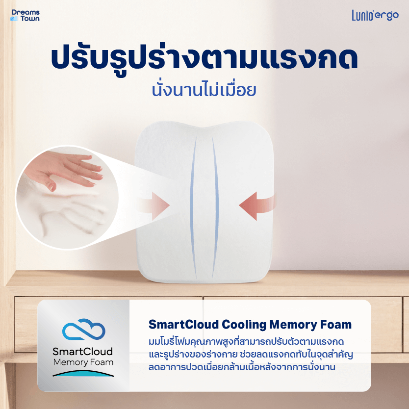 เบาะรองหลัง LUNIO ERGO LITE BACK CUSHION