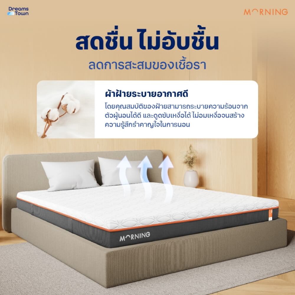 ทีนอนโฟมพรีเมียม 3.5 ฟุต MORNING SLEEP RISE FRESH+
