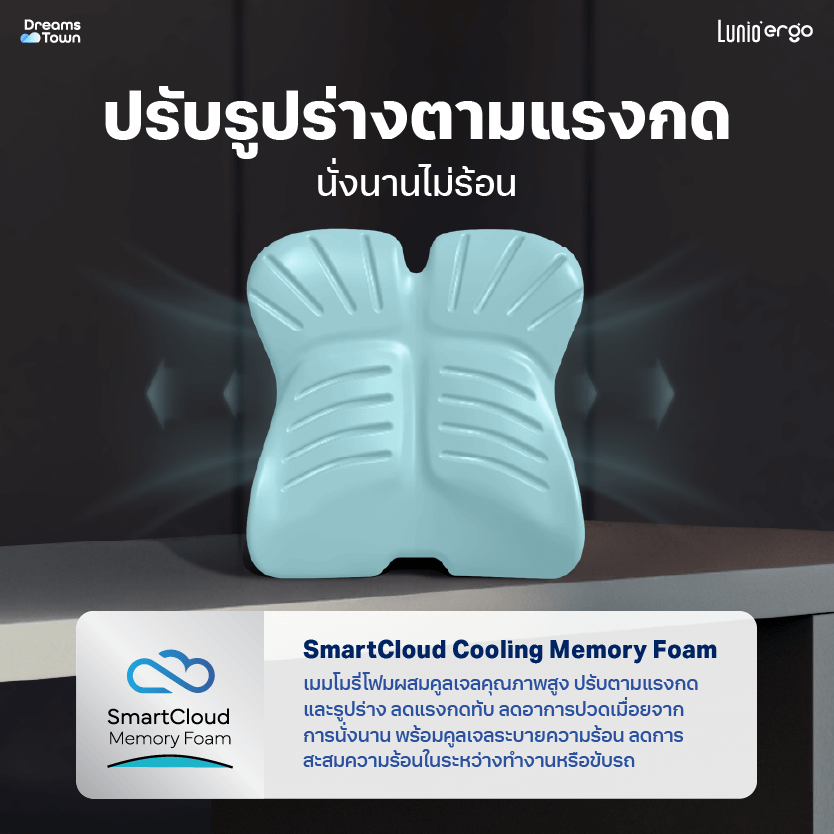 เบาะรองหลัง LUNIO ERGO PRO BACK CUSHION