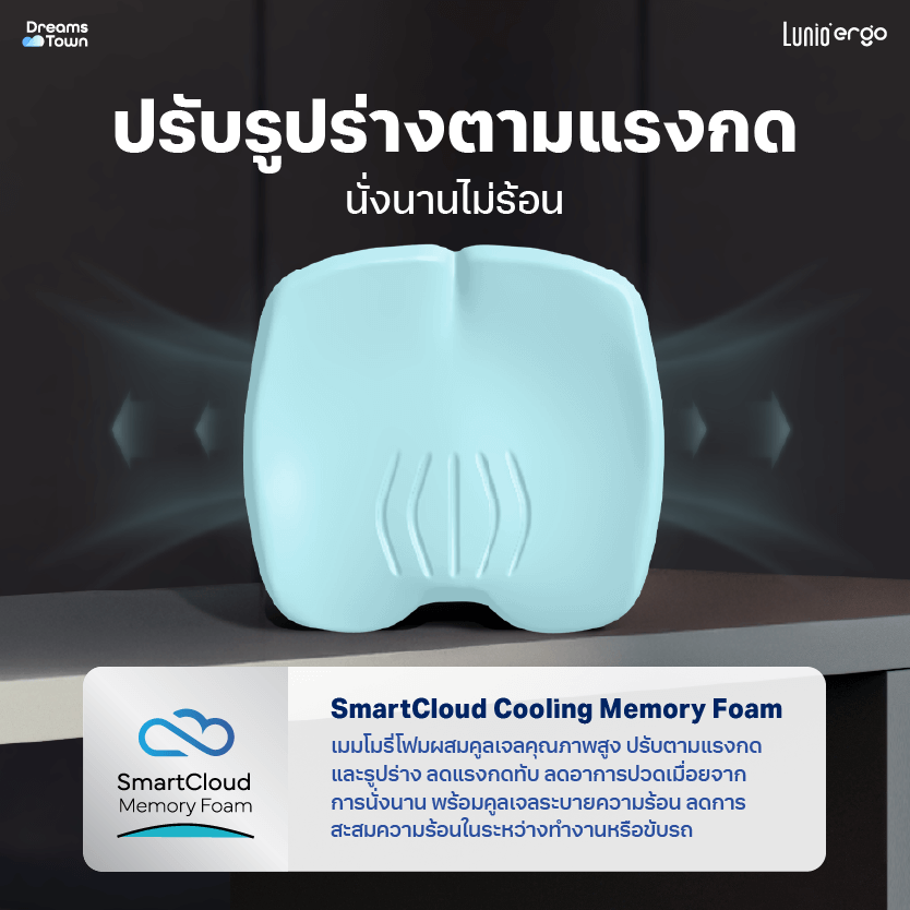เบาะรองนั่ง LUNIO ERGO PRO SEAT CUSHION