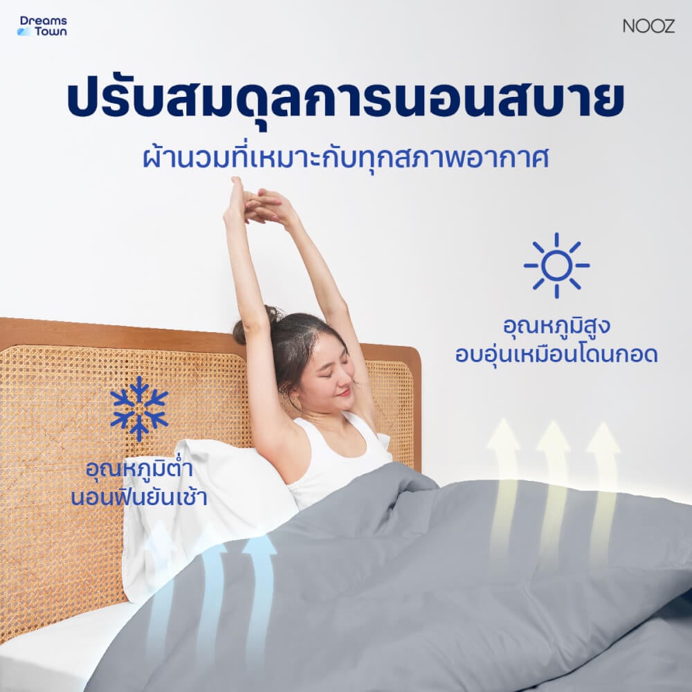 ผ้านวม 5,6 ฟุต Nooz Play รุ่น Comforter สีเทา Cloudy Gray