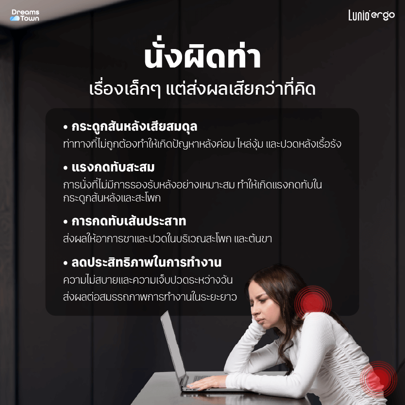 เบาะรองหลัง LUNIO ERGO PRO BACK CUSHION