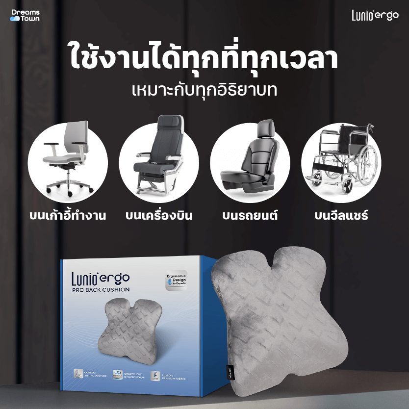 เบาะรองหลัง LUNIO ERGO PRO BACK CUSHION