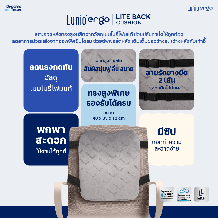 เบาะรองหลัง LUNIO ERGO LITE BACK CUSHION