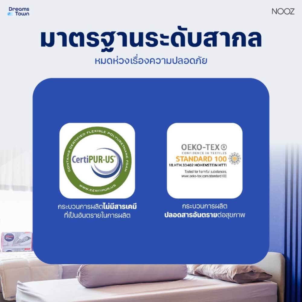 ท็อปเปอร์เมมโมรี่โฟม 3.5 ฟุต NOOZ ERGO COOLMAX THE 7 ZONE