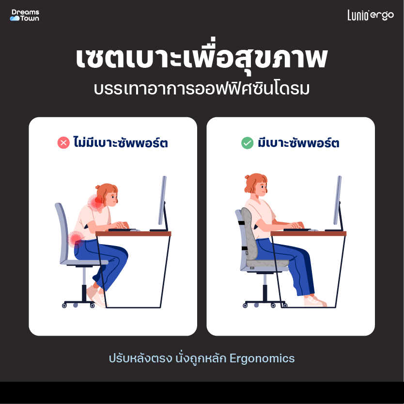 เบาะรองหลัง LUNIO ERGO PRO BACK CUSHION